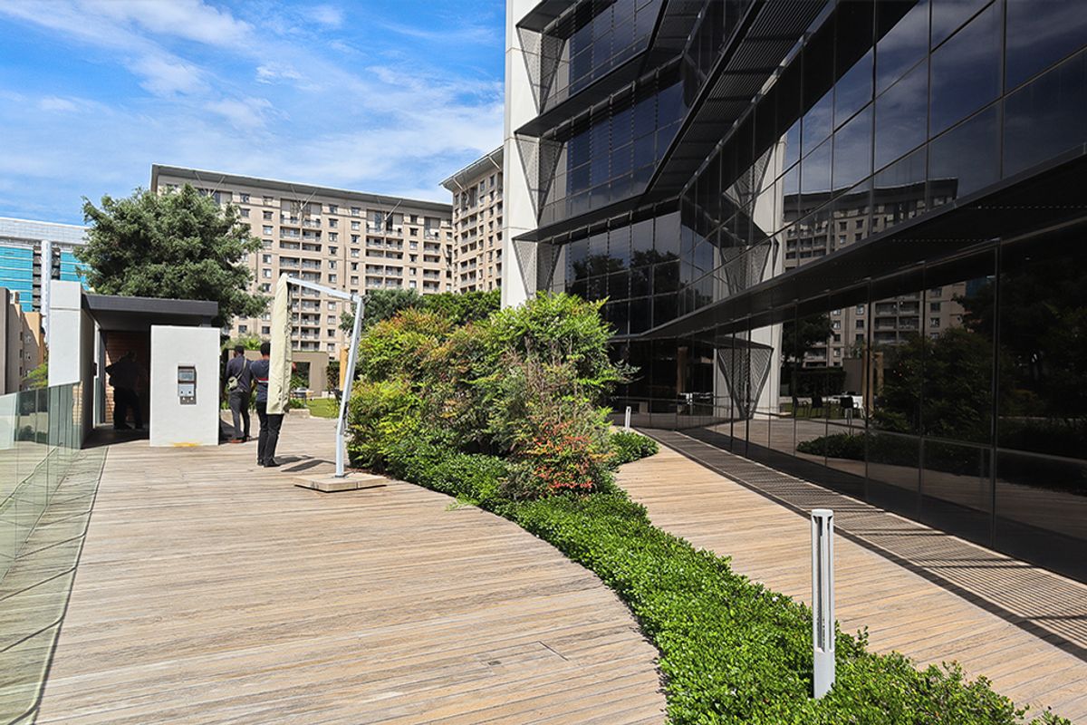 Modern commercial terrace featuring timber decking, glass balustrades, and landscaped garden beds adjacent to a contemporary glass-facade office building.
