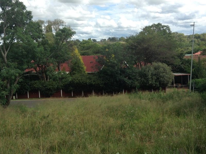 Vacant Land Pending Sale In Cullinan - Photo 9