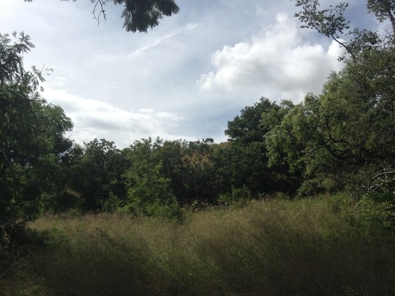 Vacant Land Pending Sale In Cullinan - Photo 8