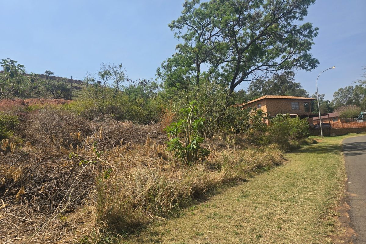 Vacant Land Pending Sale In Cullinan - Photo 4