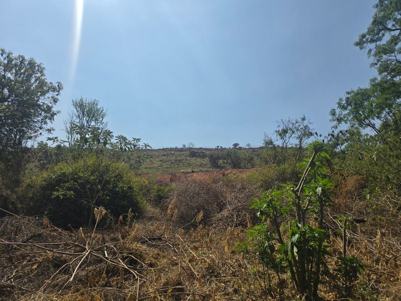 Vacant Land Pending Sale In Cullinan - Photo 5