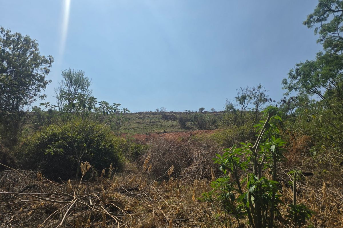 Vacant Land Pending Sale In Cullinan - Photo 5