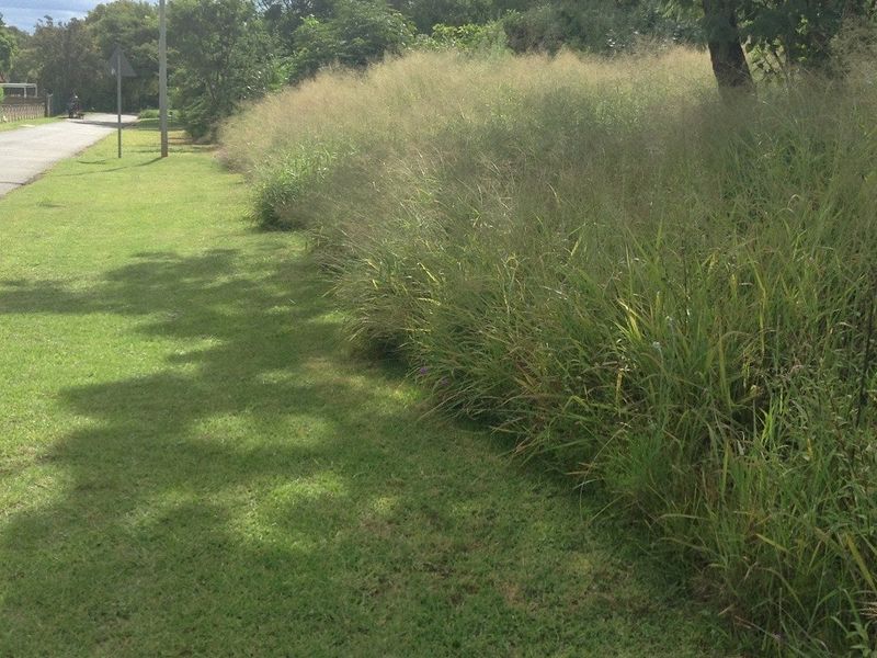 Vacant Land Pending Sale In Cullinan - Photo 7