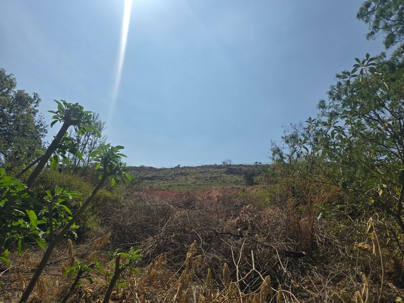 Vacant Land Pending Sale In Cullinan - Photo 6