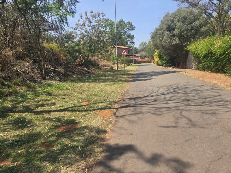 Vacant Land Pending Sale In Cullinan - Photo 2