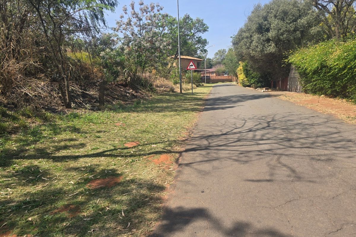 Vacant Land Pending Sale In Cullinan - Photo 2