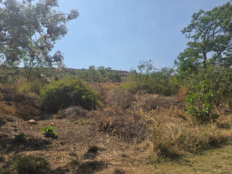 Vacant Land Pending Sale In Cullinan - Photo 3