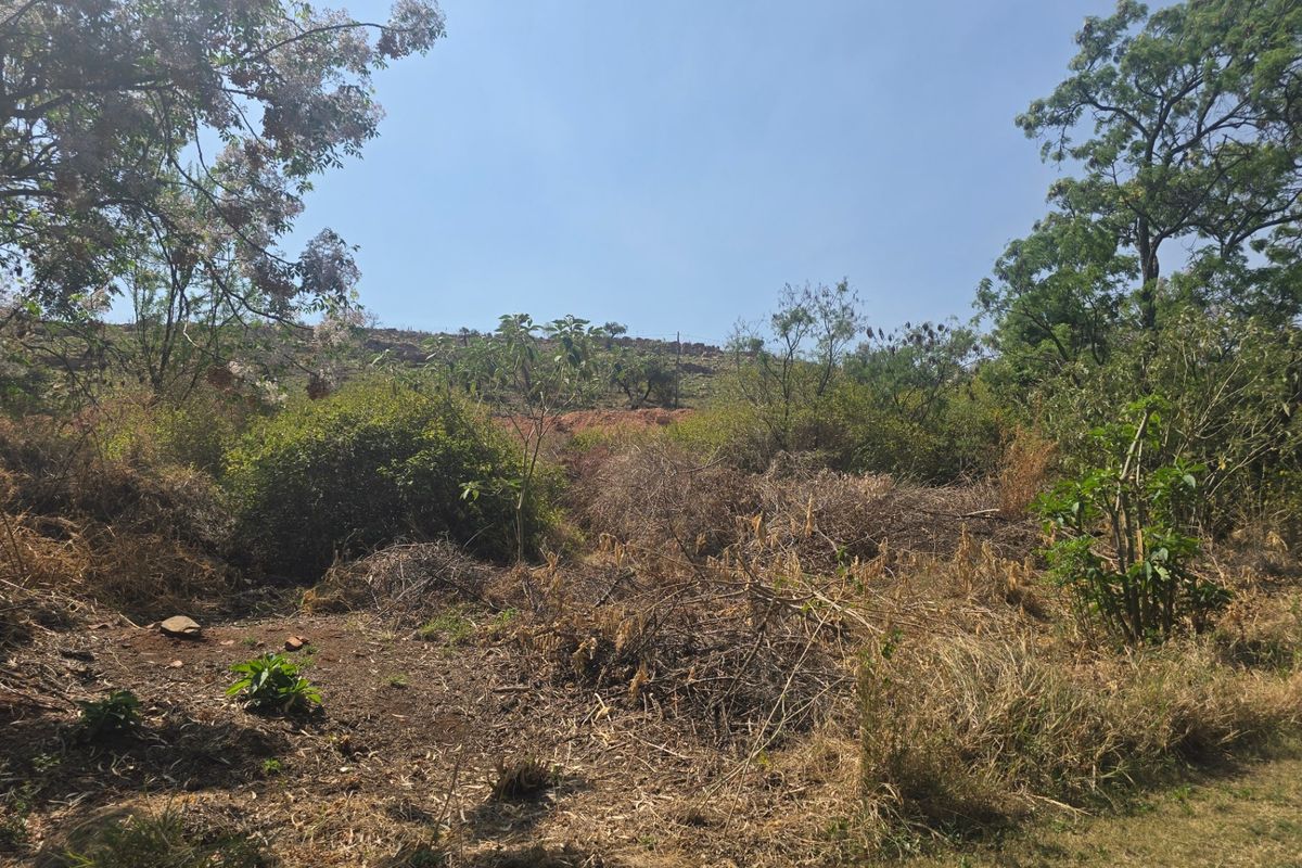 Vacant Land Pending Sale In Cullinan - Photo 3