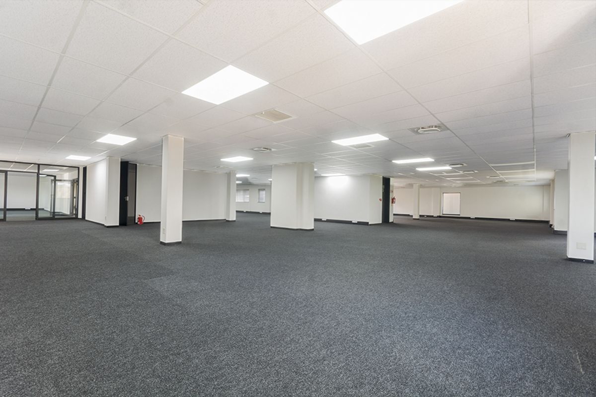 A spacious, open-plan commercial office area featuring a suspended ceiling, recessed lighting, and neutral carpeting, offering a versatile and well-maintained workspace.