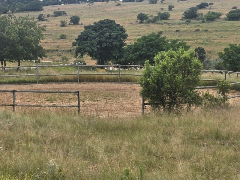 A circular horse lunging ring enclosed by timber post and rail fencing, situated within a rural farm landscape.