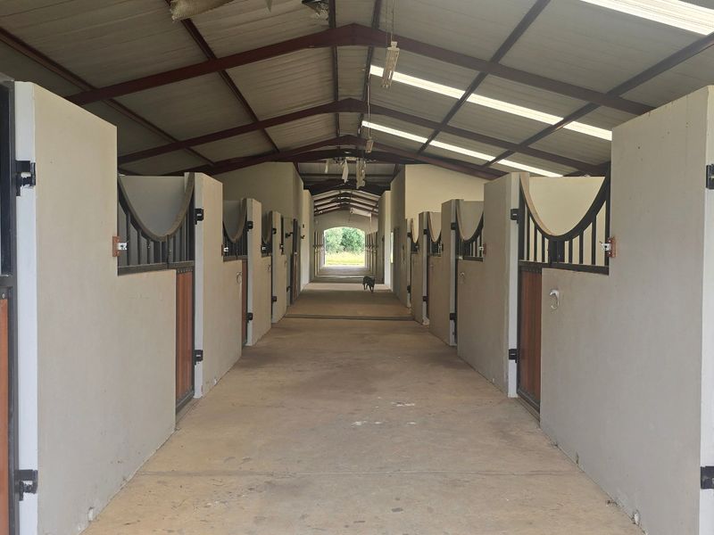 A well-maintained stable block featuring multiple stalls with timber and metal doors, concrete flooring, and a high-pitched roof with natural lighting.