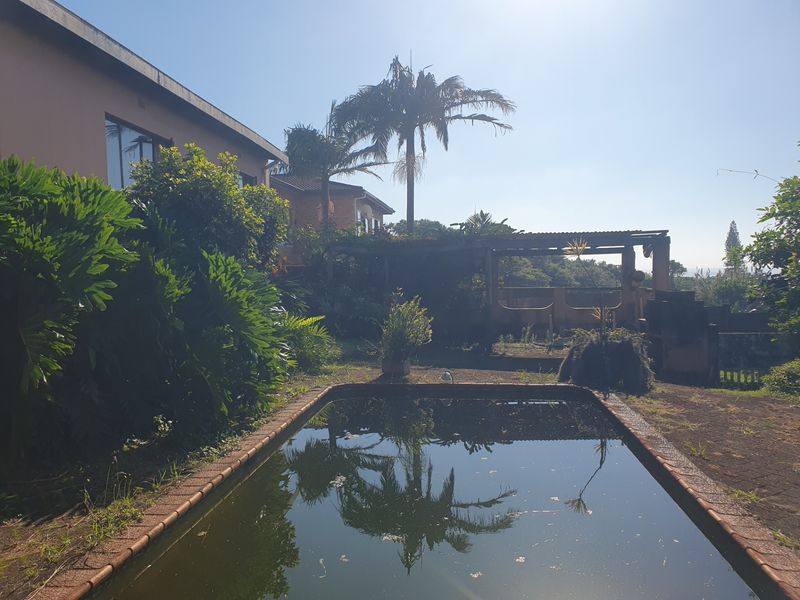 Outdoor pool area featuring a swimming pool, a wooden pergola, and a built-in braai, set within a garden with mature landscaping.