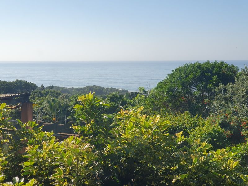 A scenic elevated view overlooking lush coastal vegetation and the ocean horizon.