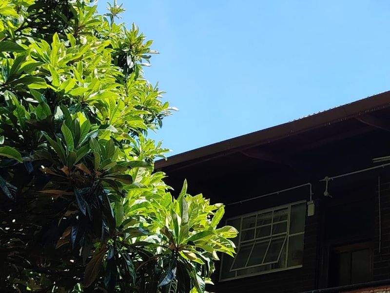 Apartment For Sale In Pretoria - Photo 2