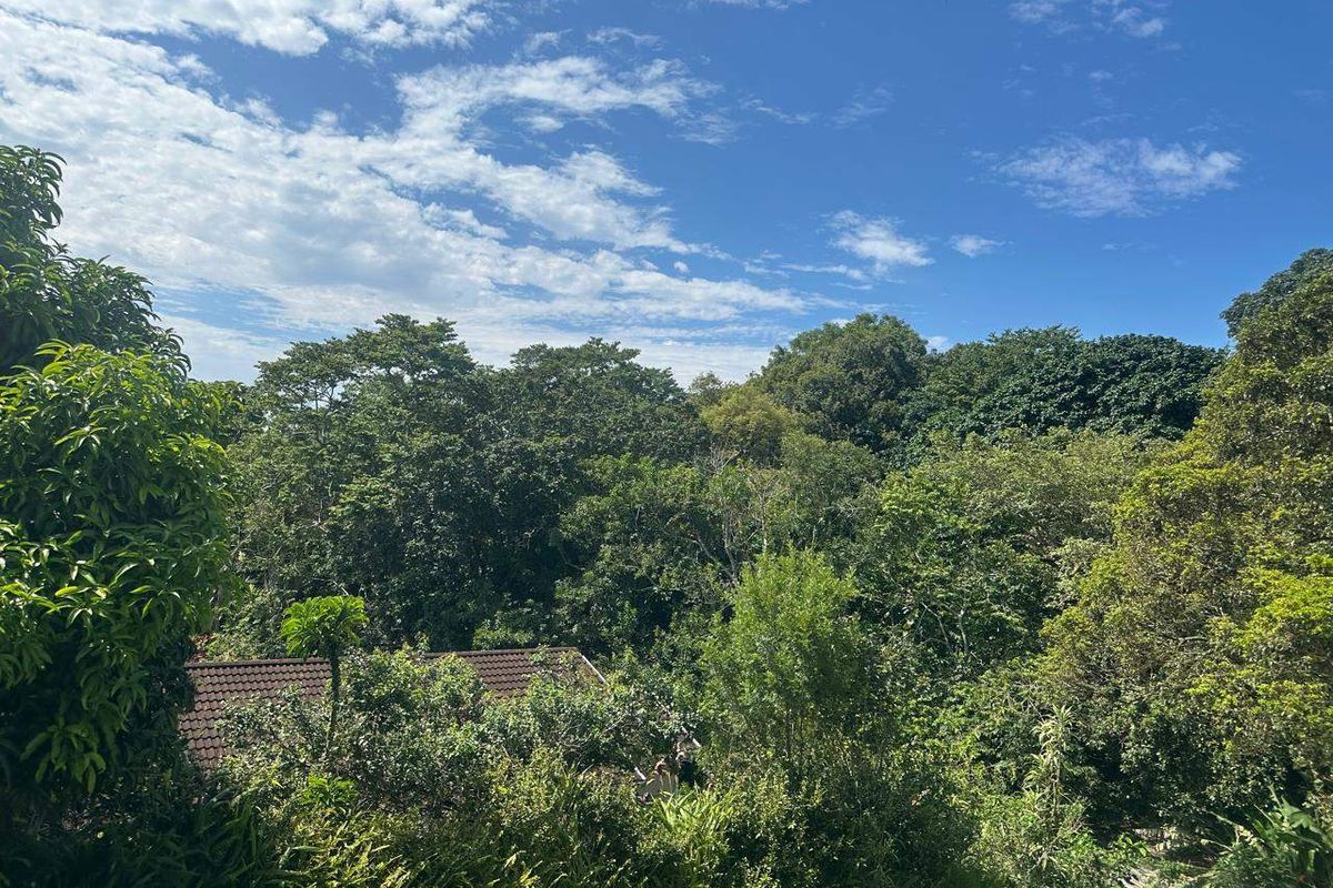 House For Sale In Port Shepstone - Photo 2