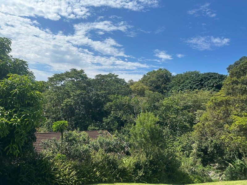 A scenic view overlooking lush green vegetation and mature trees with a glimpse of a tiled roof in the distance.