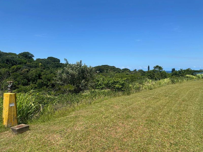 A scenic view of the surrounding landscape and lush greenery from the vacant residential land, featuring a fire hydrant in the foreground.