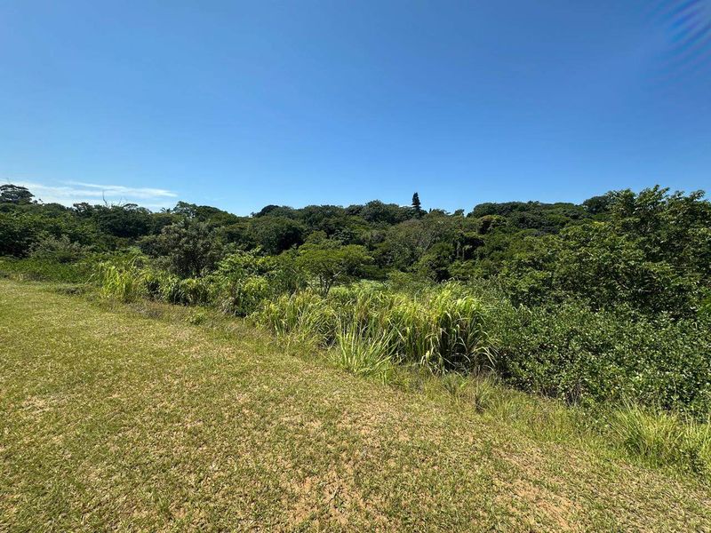 A view of the natural landscape and dense vegetation on the vacant residential property.