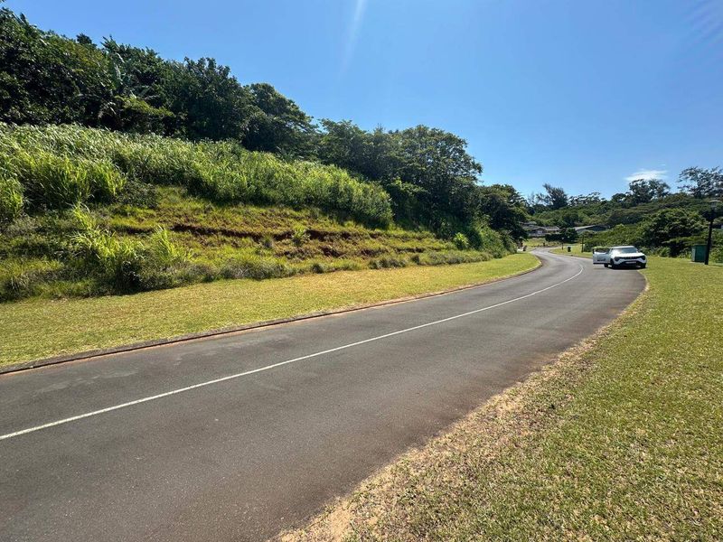 A view of a paved residential street with a grass verge and a sloped, landscaped embankment.