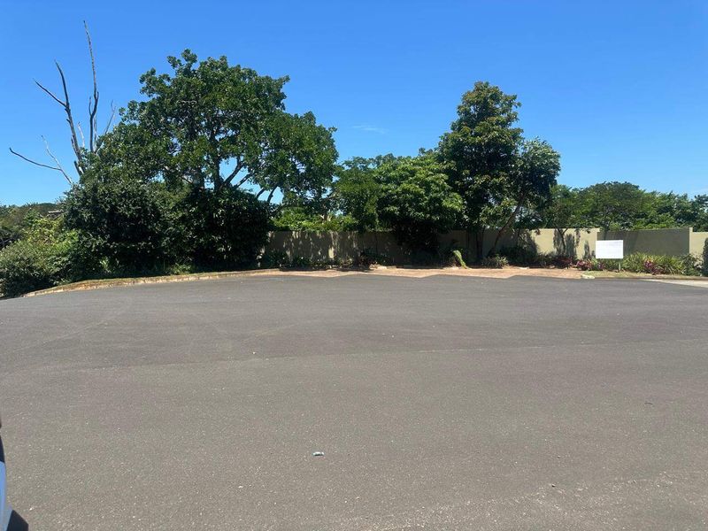 A view of a paved residential driveway and entrance area featuring a perimeter wall and established trees.