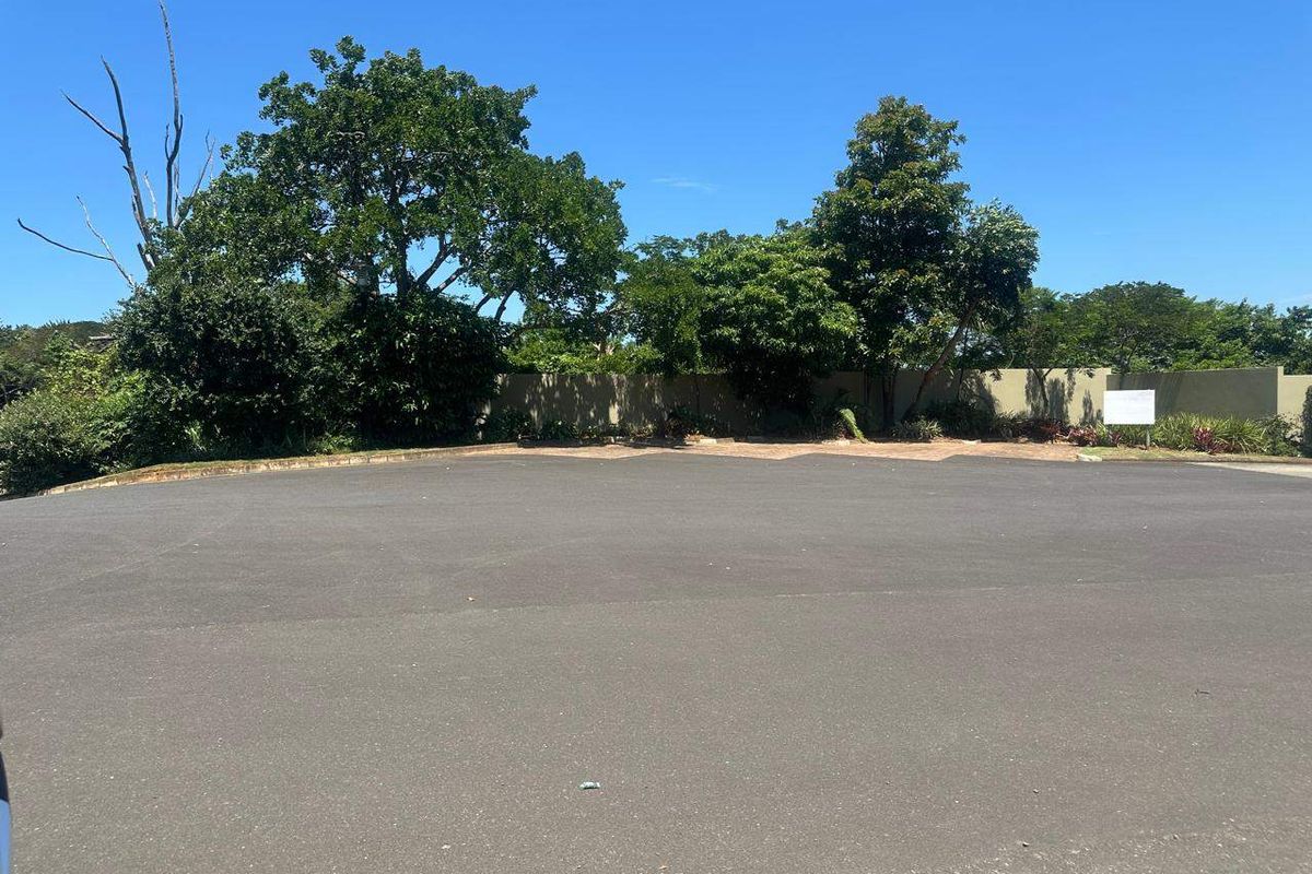 A view of a paved residential driveway and entrance area featuring a perimeter wall and established trees.
