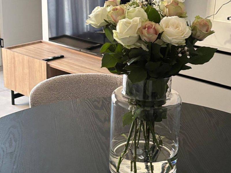 Apartment Rental Monthly In Pretoria - Photo 4