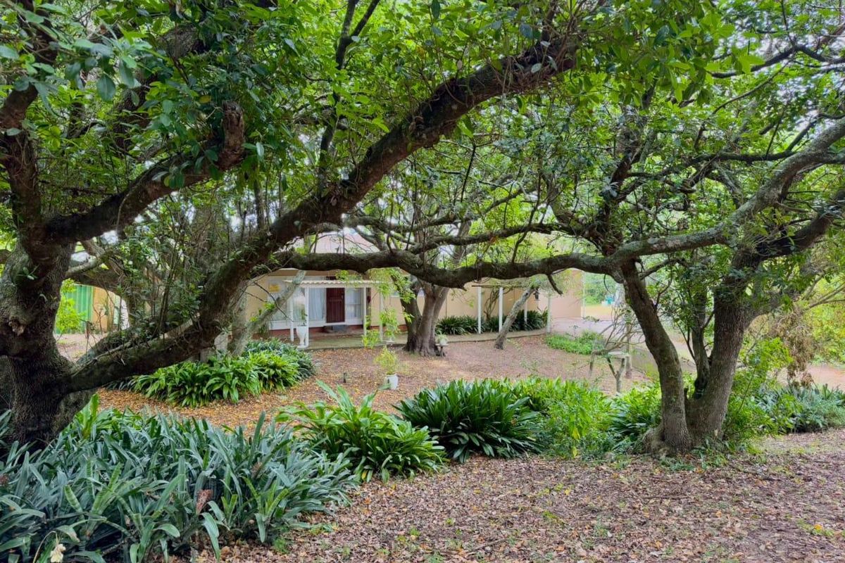 Farm For Sale In Port Elizabeth - Photo 5