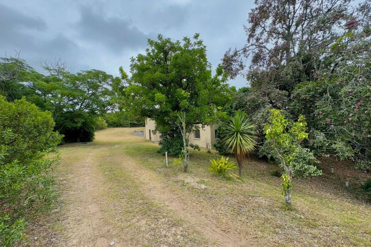 Farm For Sale In Port Elizabeth - Photo 4