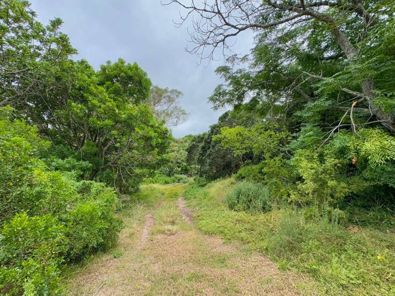 Farm For Sale In Port Elizabeth - Photo 8