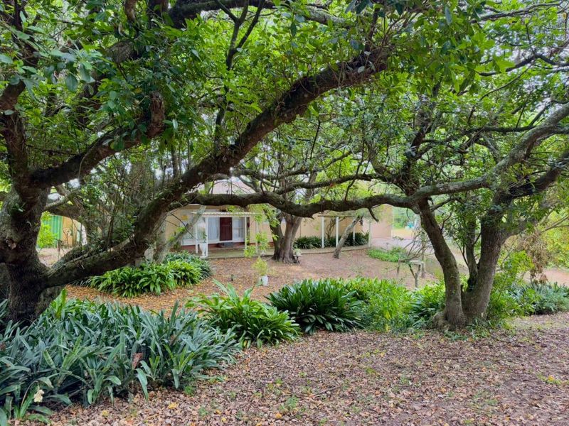Farm For Sale In Port Elizabeth - Photo 5