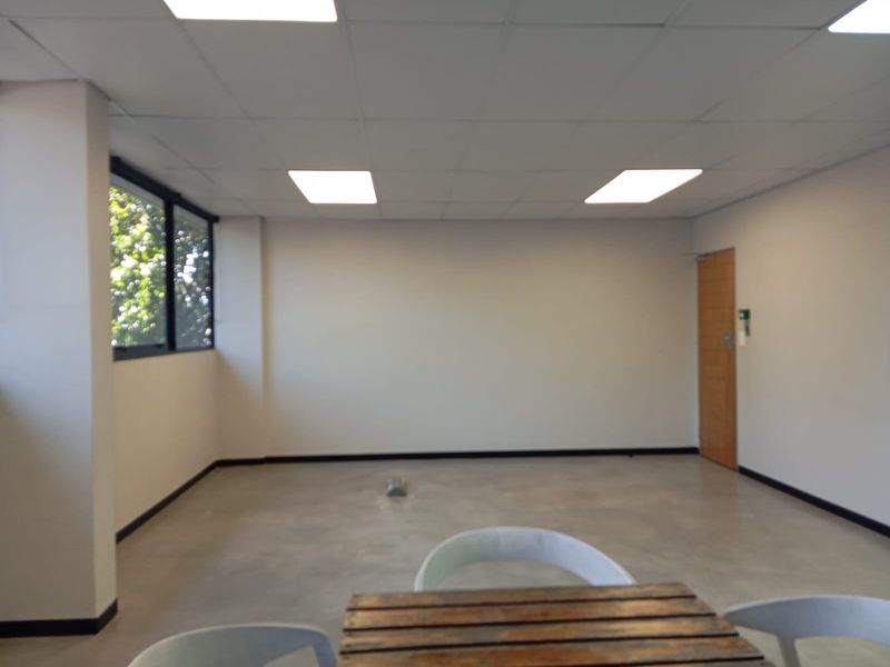 A bright, open-plan commercial office space featuring a suspended acoustic tile ceiling, recessed lighting, large windows, and polished concrete flooring.