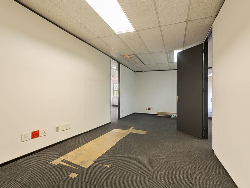 An empty commercial office space featuring a suspended ceiling, recessed lighting, and carpeted flooring with visible wear.
