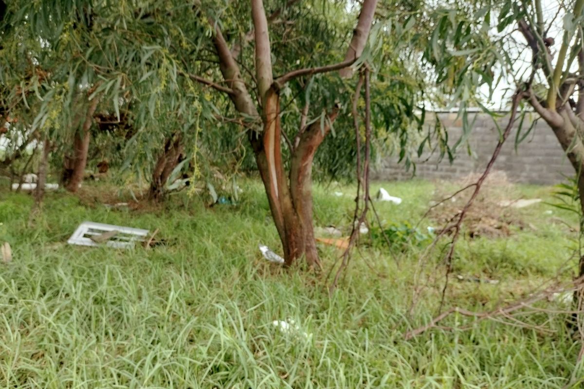 Vacant Land For Sale In Mitchells Plain - Photo 5