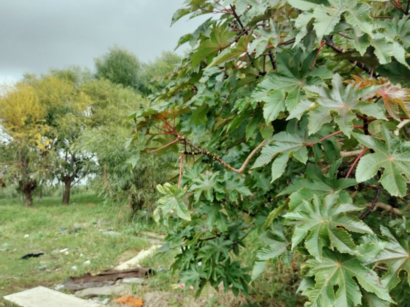 Vacant Land For Sale In Mitchells Plain - Photo 8