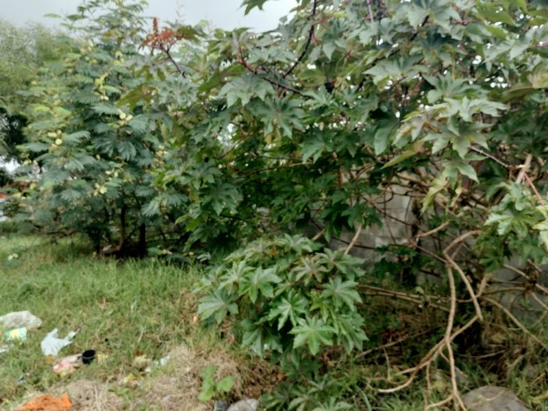 Vacant Land For Sale In Mitchells Plain - Photo 7