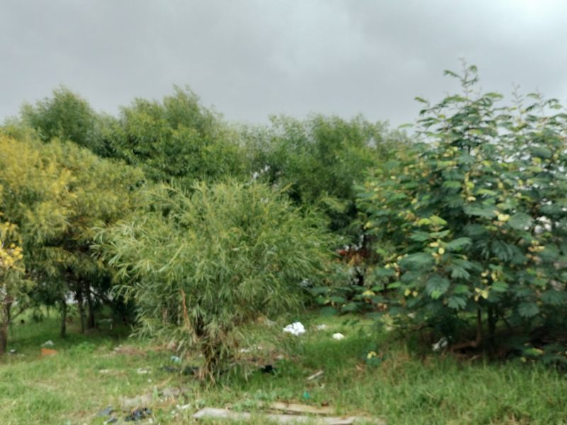 Vacant Land For Sale In Mitchells Plain - Photo 9