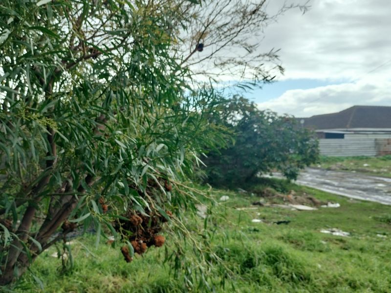 Vacant Land For Sale In Mitchells Plain - Photo 6