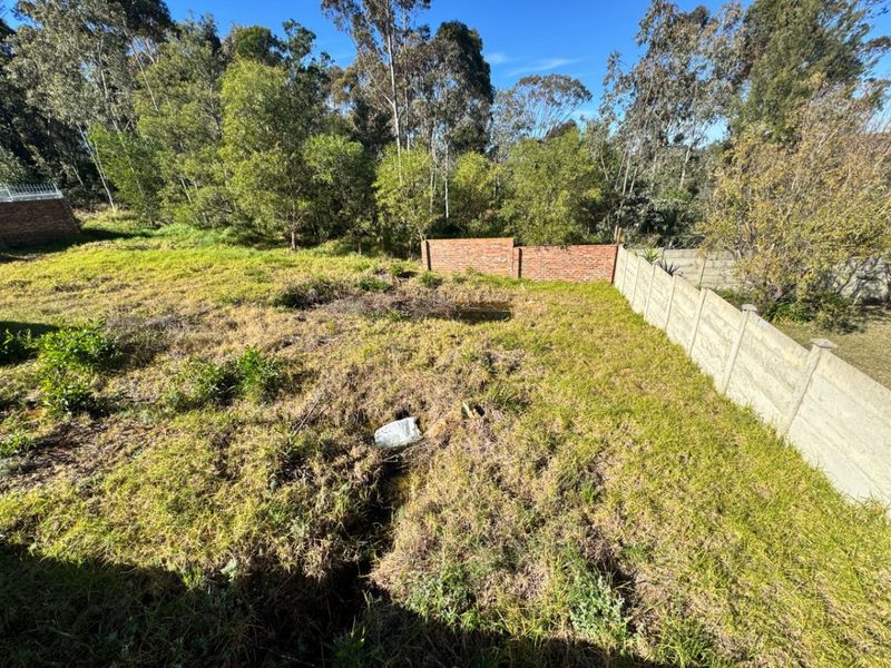 Vacant Land For Sale In Swellendam - Photo 7