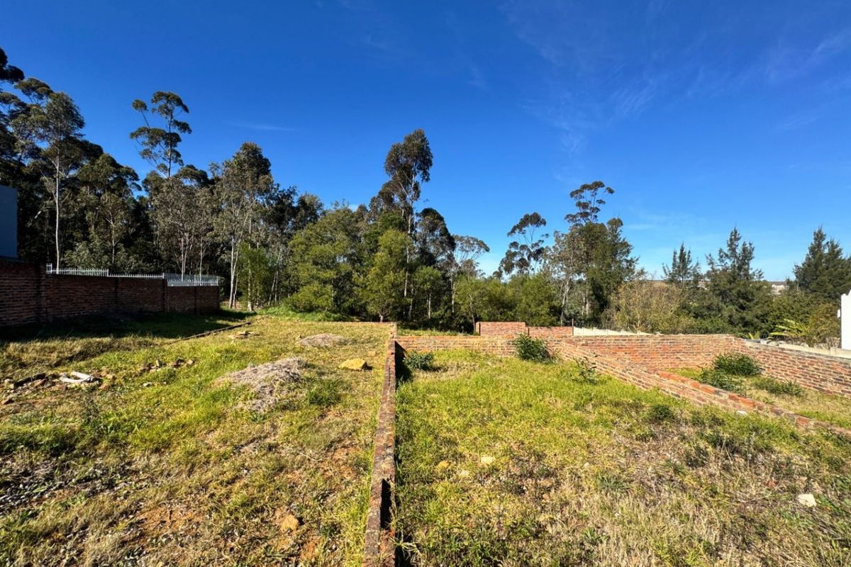 Vacant Land For Sale In Swellendam - Photo 5