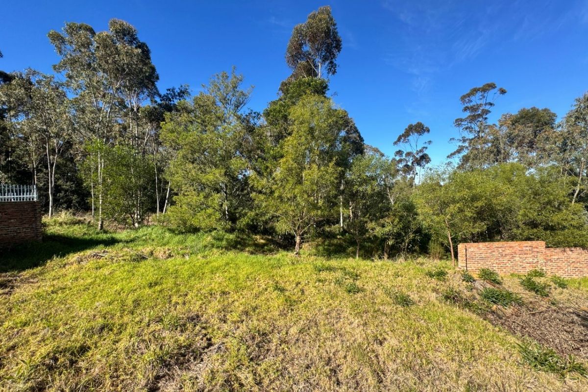 Vacant Land For Sale In Swellendam - Photo 4