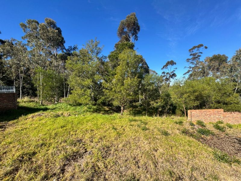 A view of a vacant residential plot featuring established trees, grassy terrain, and brick boundary walling.