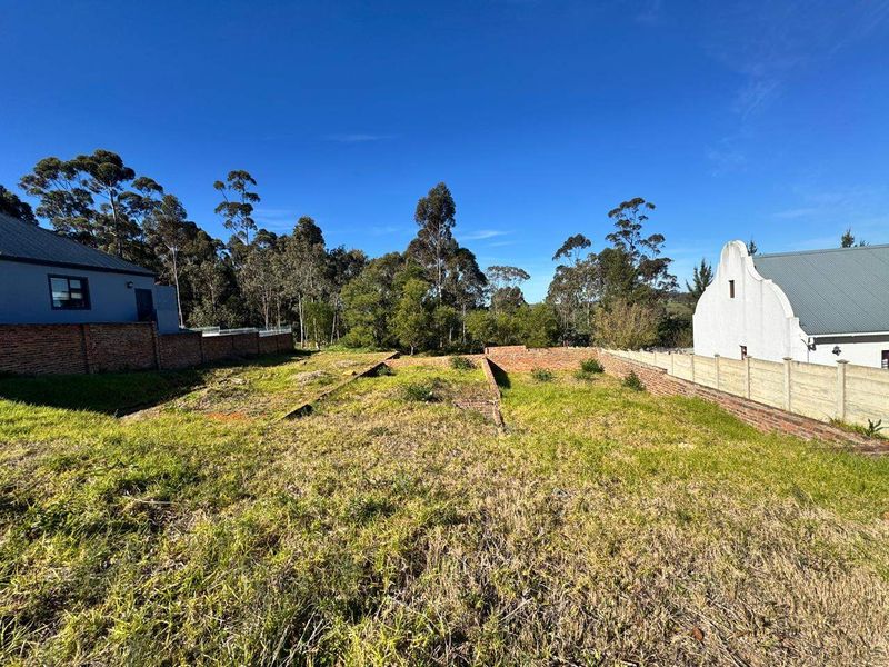 A vacant residential plot featuring established boundary walls and surrounding mature trees, offering a clear space for future development.
