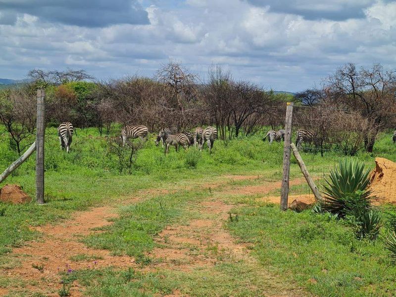 Farm For Sale In Pretoria - Photo 5