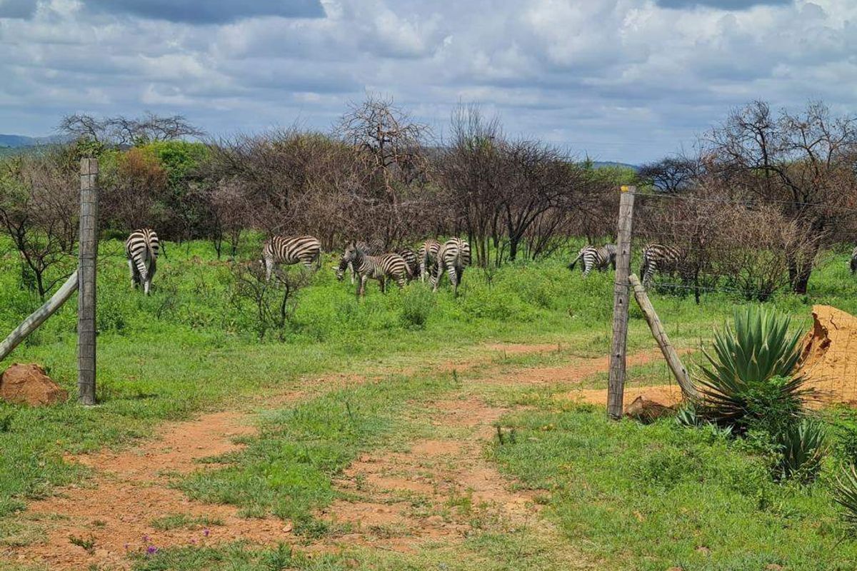 Farm For Sale In Pretoria - Photo 5