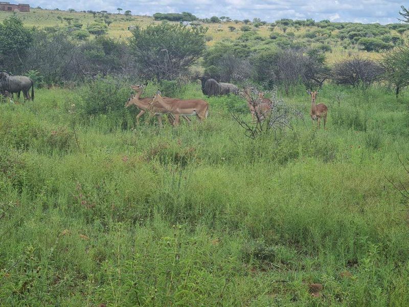 Farm For Sale In Pretoria - Photo 2