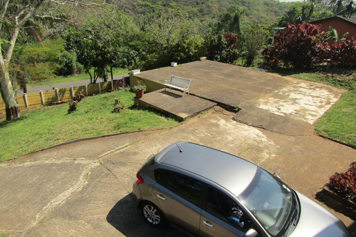 An elevated view of the rear property area featuring a concrete driveway, a raised concrete patio, and surrounding garden space with mature trees.