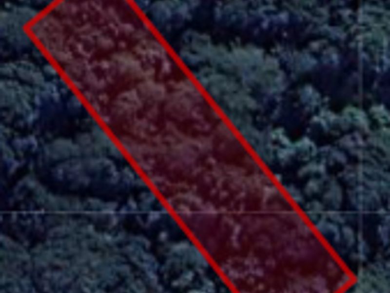 An aerial view of a vacant residential plot covered in dense vegetation, highlighted by a red boundary overlay.
