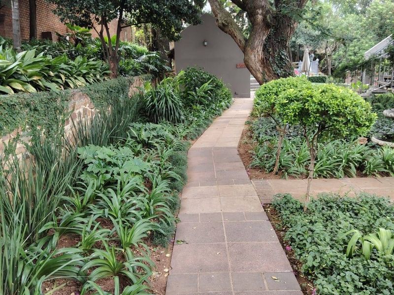 A well-maintained garden path featuring stone paving, lush landscaped garden beds, and mature trees leading towards a rear structure.