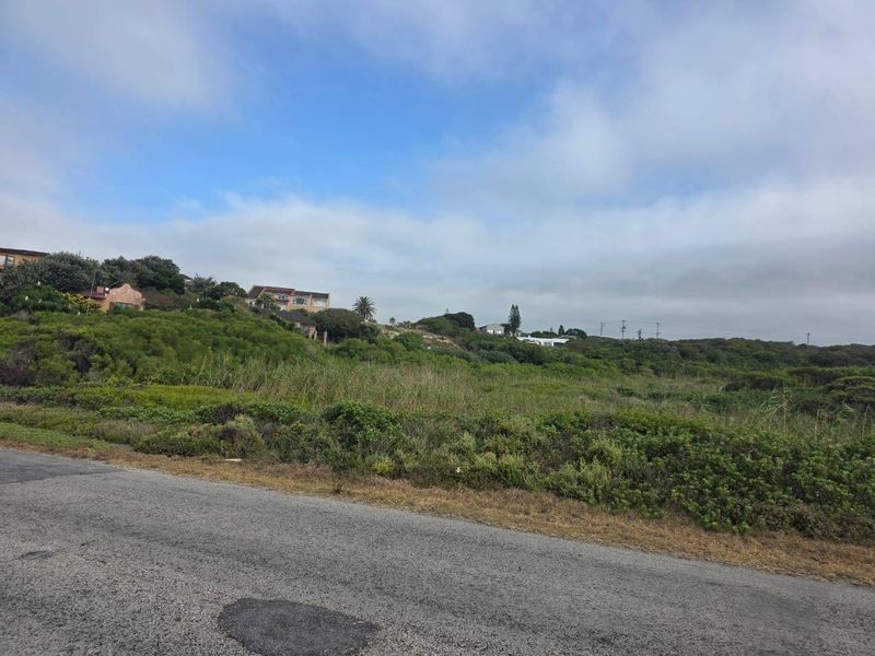 A view of an undeveloped residential plot from the adjacent asphalt road, featuring natural coastal vegetation and surrounding neighborhood homes.