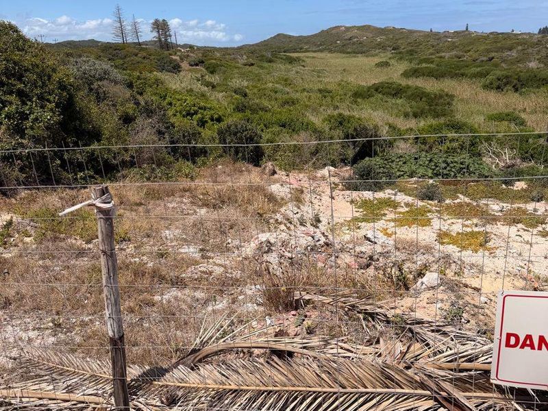 A view of the natural landscape and surrounding vegetation, captured from behind a wire mesh boundary fence.